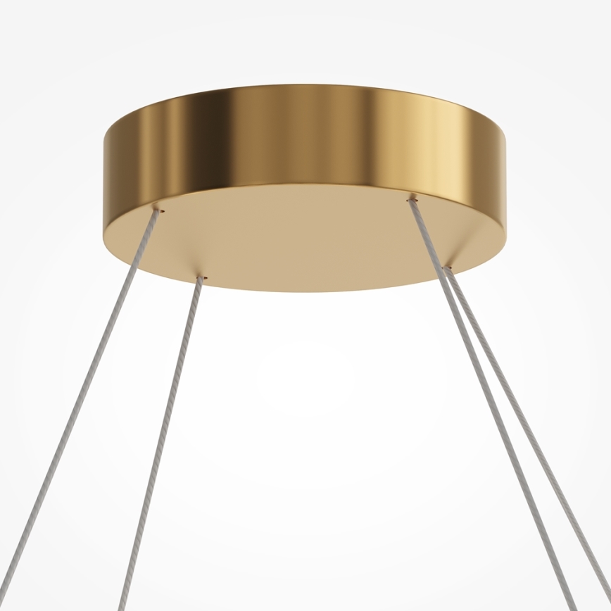 Maytoni MOD555PL-L35G3K - LED Hanglamp aan een koord AMULET LED/40W/230V 3000K goud