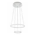 Maytoni MOD807-PL-02-36-W - LED Hanglamp aan koord NOLA LED/36W/230V