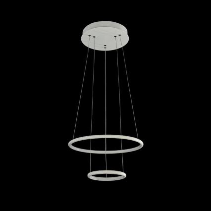 Maytoni MOD807-PL-02-36-W - LED Hanglamp aan koord NOLA LED/36W/230V