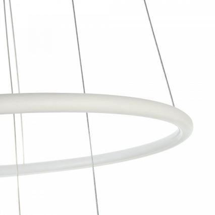 Maytoni MOD807-PL-02-36-W - LED Hanglamp aan koord NOLA LED/36W/230V