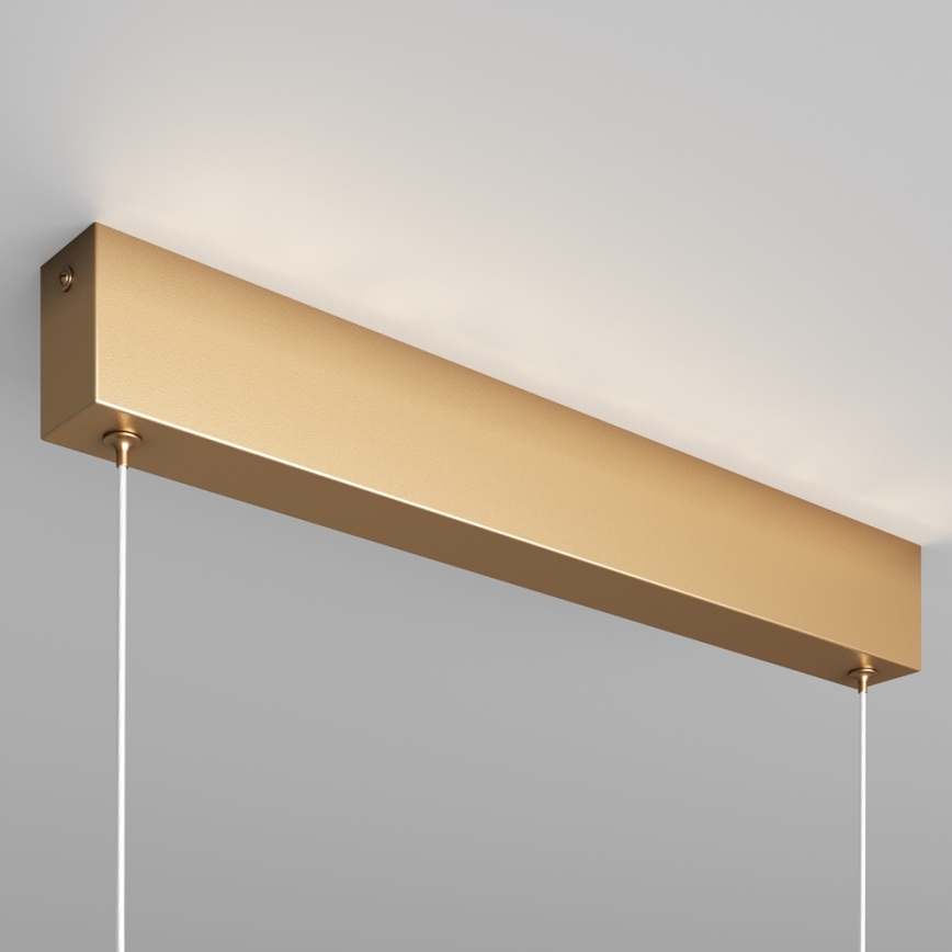 Maytoni P010PL-L23G3K - LED Hanglamp aan een koord STEP LED/23W/230V 3000K 91 cm goud