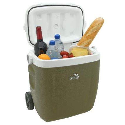 Mobiele koelbox 16 L, groen