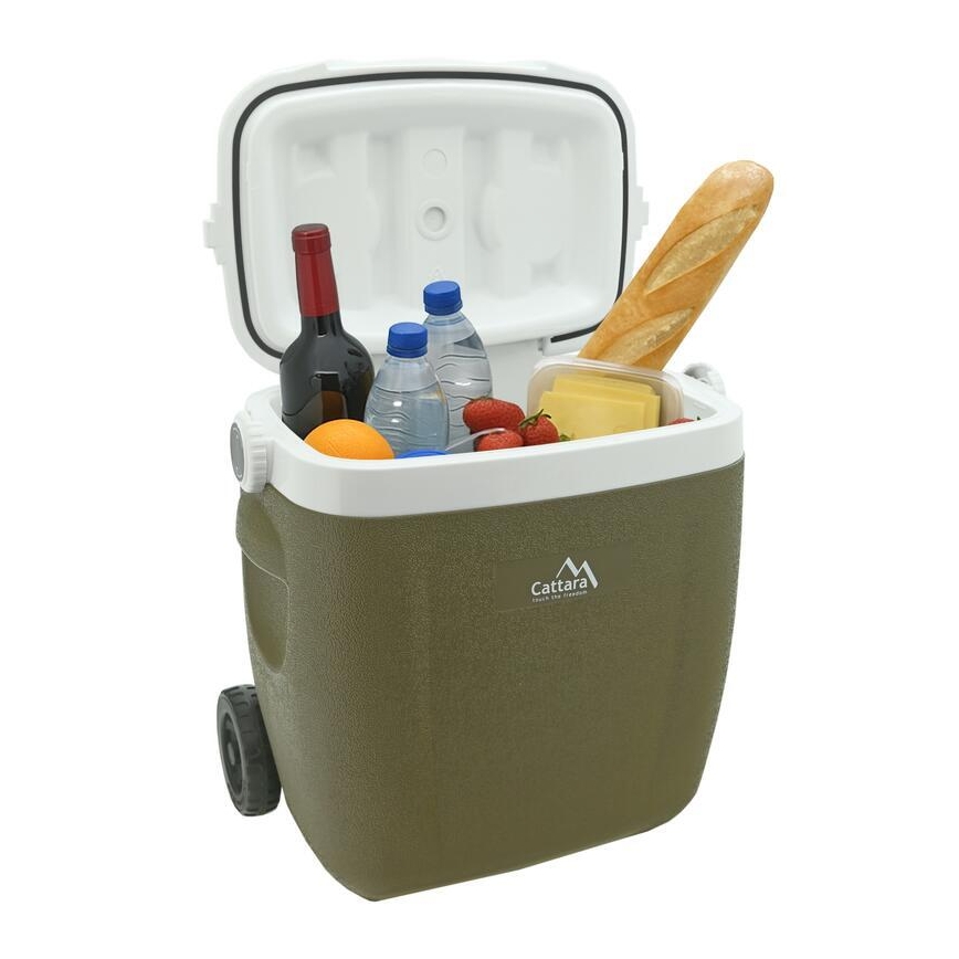Mobiele koelbox 16 L, groen