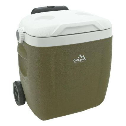 Mobiele koelbox 16 L, groen