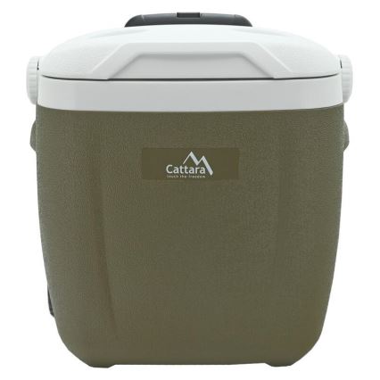 Mobiele koelbox 16 L, groen