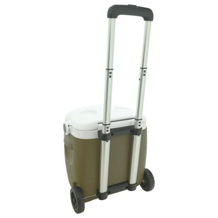 Mobiele koelbox 16 L, groen