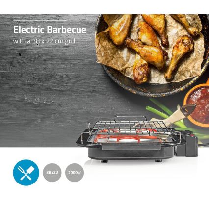 Elektrische Grill 2000W/230V