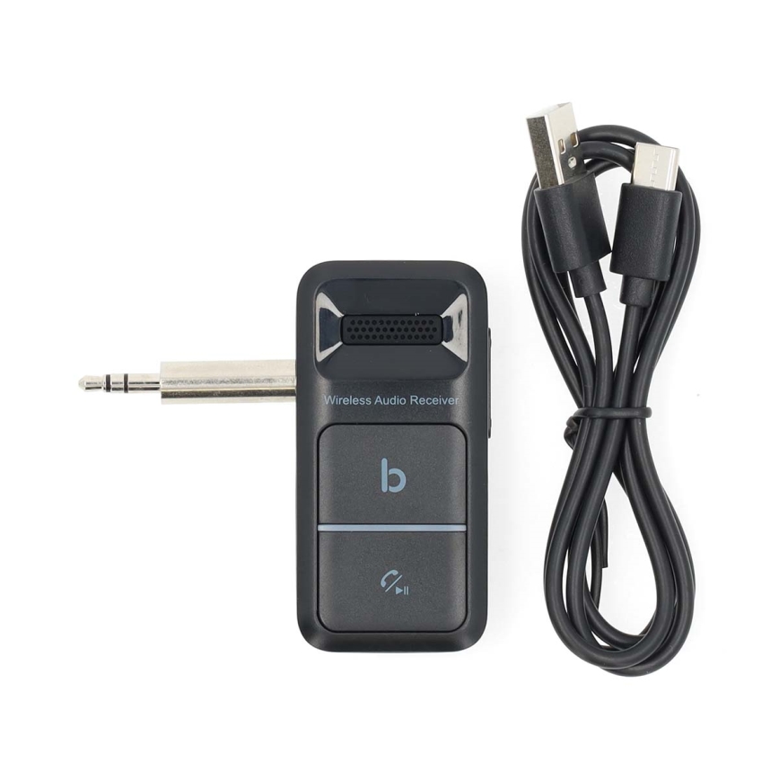 Draagbaar Bluetooth AUX ontvanger