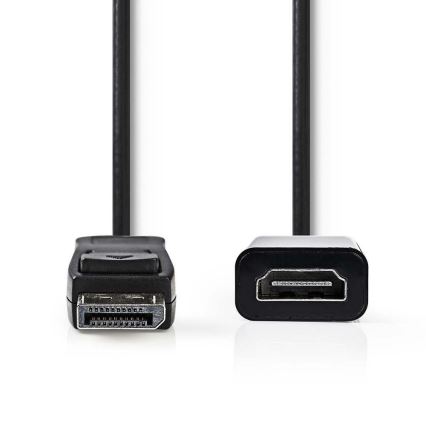HDMI-kabel DisplayPort-stekker - HDMI-uitgang 0,2 m
