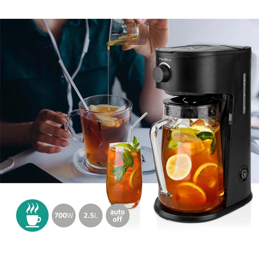 Koffiezetapparaat voor ijskoffie en ijsthee 750W/230V