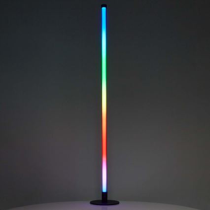 LED RGBIC Dimbare staande lamp Smartlife LED/10W/230V 100,5 cm 2700-6500K Wi-Fi Tuya + afstandsbediening