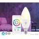 Dimbare LED RGB Lamp Smartlife E14/4,9W/230V Wi-Fi 2700-6500K