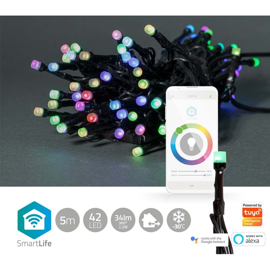 LED RGB buiten kerstsnoer 42xLED/8 functies 8m IP65 Wi-Fi Tuya