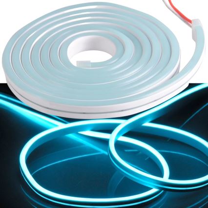 Neon - LED Strip 2 m LED/17W/12V IP65 blauw