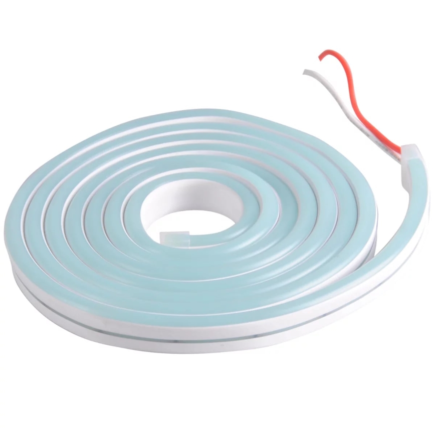 Neon - LED Strip 2 m LED/17W/12V IP65 blauw