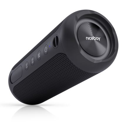 Niceboy Polaris - LED Draadloze luidspreker met een microfoon 30W/4000 mAh IPX7 zwart