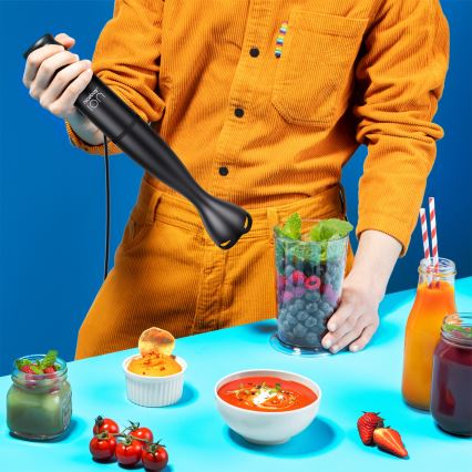 Niceboy Twister T1 - Staafmixer 500W/230V zwart