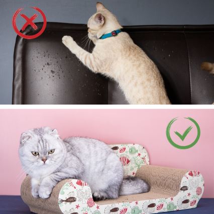 Nobleza - Krabpaal voor katten
