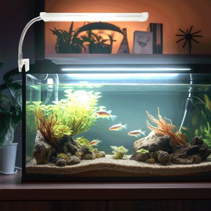 Nobleza - LED Aquariumverlichting LED/6W/230V IPX7 23 cm