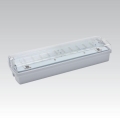 Noodverlichting CARLA LED LED/5,51W/230V temporary 1h IP65