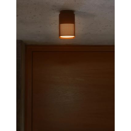 Nordlux - Buitenplafondlamp SIDARA 1xE27/15W/230V IP54 bruin