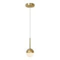 Nordlux - Hanglamp aan kabel CONTINA 1xG9/5W/230V messing