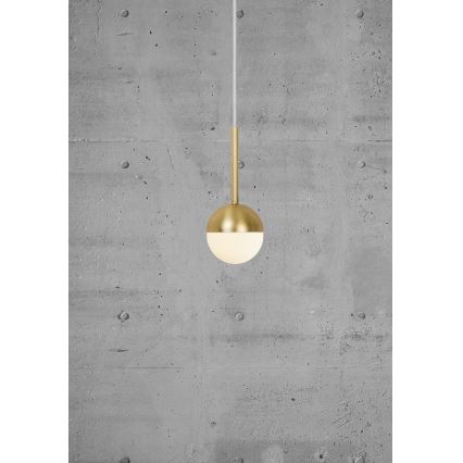 Nordlux - Hanglamp aan kabel CONTINA 1xG9/5W/230V messing