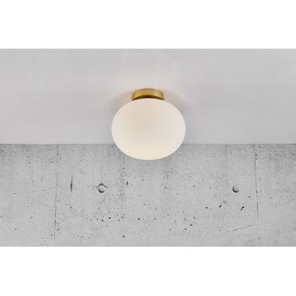 Nordlux - Plafondlamp ALTON 1xE27/25W/230V