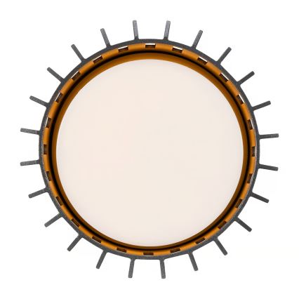 Nordlux - Plafondlamp voor buiten ALUDRA 1xE27/15W/230V antraciet