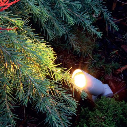 OKO LED-buitenlamp 1W/350mA IP54