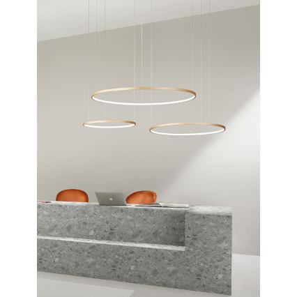 Ondaluce - Dimbare LED-hanglamp aan kabel SOEL LED/38W/230V Ø 80 cm, goudkleurig