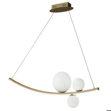 Ondaluce - LED dimbare kroonluchter aan kabel ALTALENA LED/48W/230V goud/wit