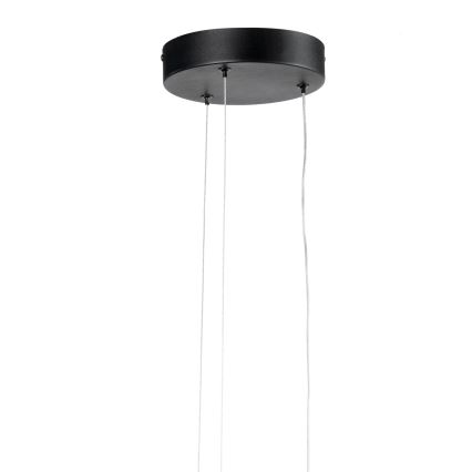 ONLI - LED Hanglamp aan een koord DAFNE LED/30W/230W 4000K zwart