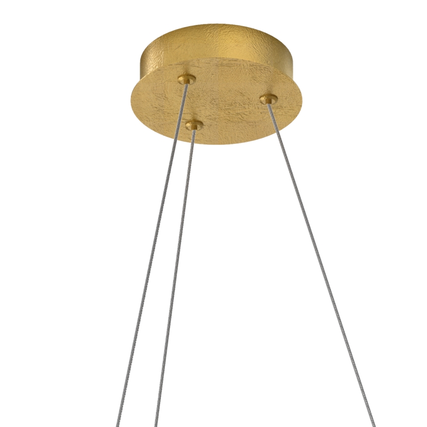 ONLI - LED Hanglamp aan een koord LIBERTY LED/30W/230V 4000K goud