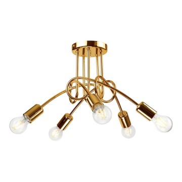 Opbouwbare plafondlamp CAMILLA 5xE27/60W/230V