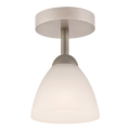 Opbouwlamp ADRIANO 1xE27/60W/230V beuk