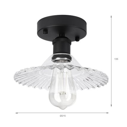 Opbouwplafondlamp TRISH 1xE27/15W/230V zwart/helder
