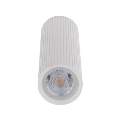 Opbouwspot TUNE M 1xGU10/10W/230V 17 cm wit