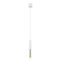 Open Design OR80841 - Pendellamp SLIMI aan kabel 1xG9/3,5W/230V wit/goud