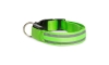 Oplaadbare LED Honden Halsband 35-43 cm 1xCR2032/5V/40 mAh groen