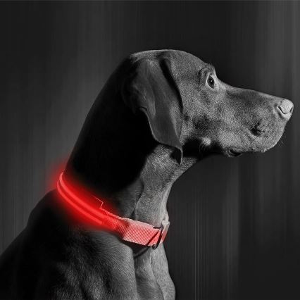 Oplaadbare LED Honden Halsband 40-48 cm 1xCR2032/5V/40 mAh rood