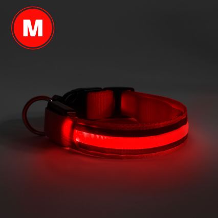 Oplaadbare LED Honden Halsband 40-48 cm 1xCR2032/5V/40 mAh rood