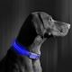 Oplaadbare LED Honden Halsband 45-52 cm 1xCR2032/5V/40 mAh blauw
