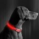 Oplaadbare LED Honden Halsband 45-52 cm 1xCR2032/5V/40 mAh rood