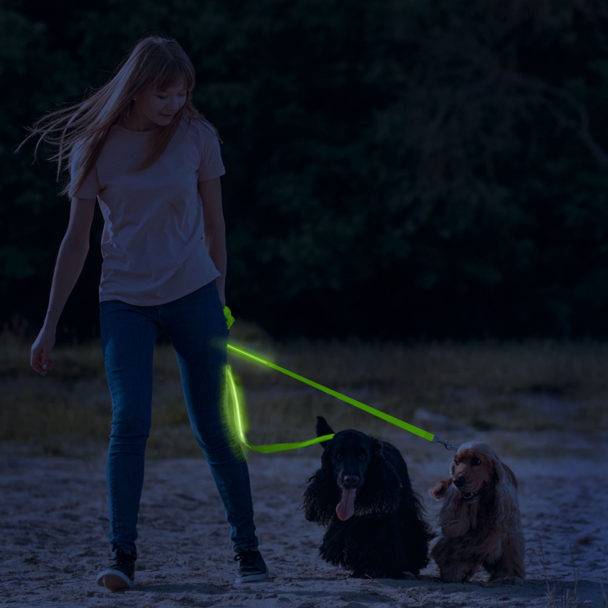 Oplaadbare LED Riem 120 cm 2xCR2032/5V/40 mAh groen
