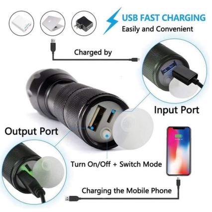 Oplaadbare LED Zaklamp LED/10W/4,5V