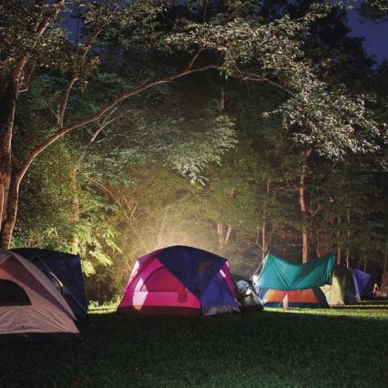 Oplaadbare LED-zaklamp LED/3,7V 4000 mAh