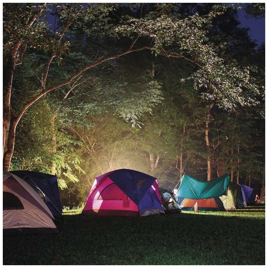 Oplaadbare LED-zaklamp LED/3,7V 4000 mAh