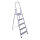 Opvouwbare trapladder 5 stappen 180x51 cm