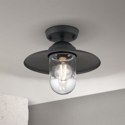 Buiten opbouwlamp EDWARD 1xE27/60W/230V IP44 antraciet